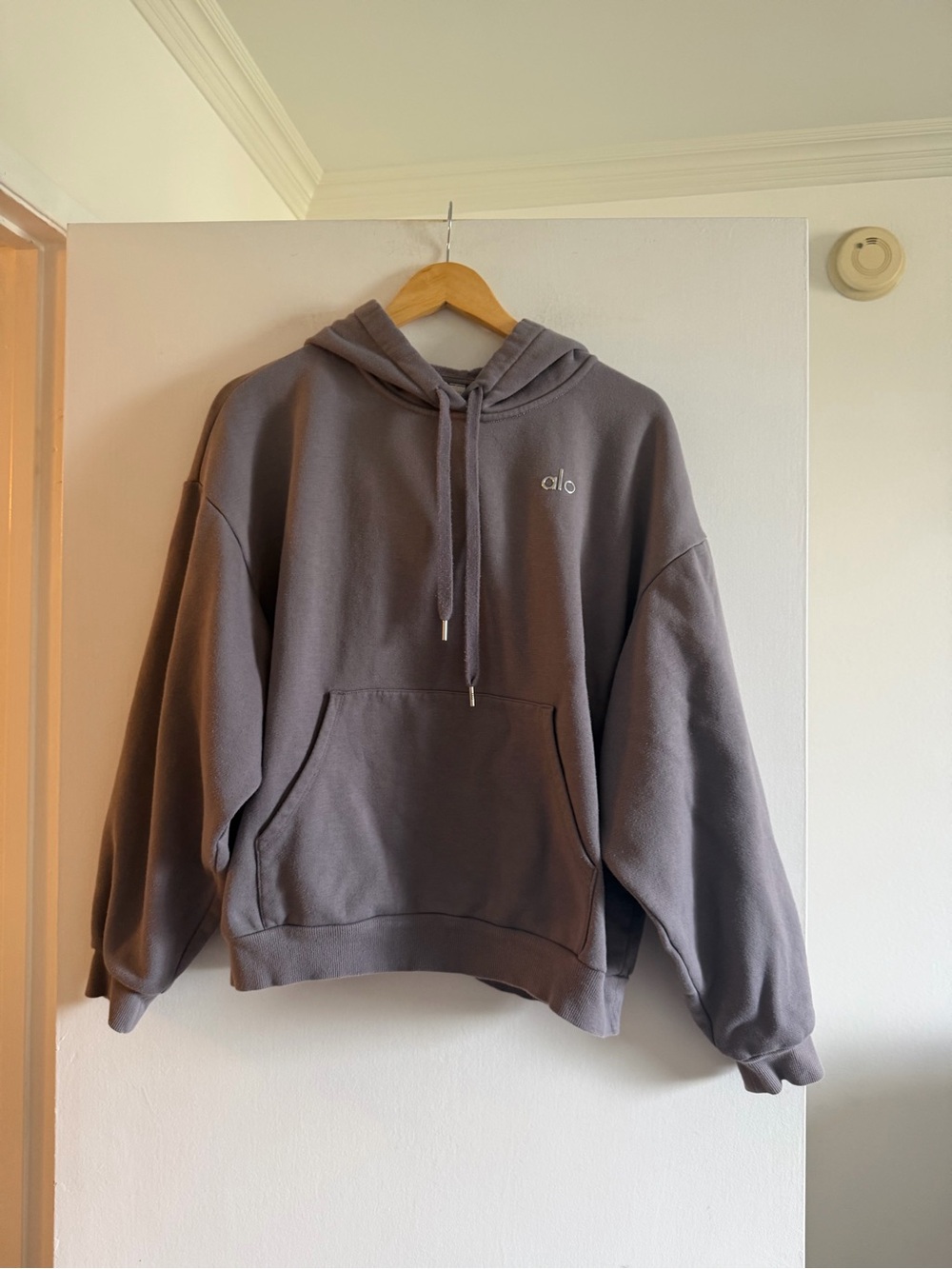 Alo Yoga Metallic Logo Front Pocket Classic Neutral Grey Hoodie size Medium